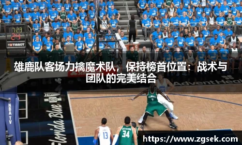 雷火电竞官方网站入口