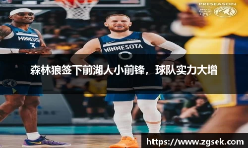 森林狼签下前湖人小前锋，球队实力大增