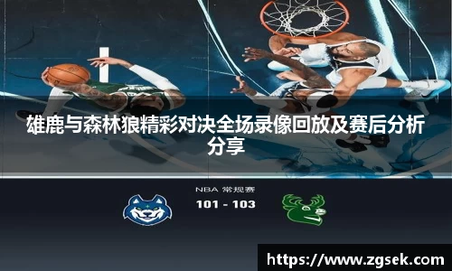 雷火电竞官方网站入口