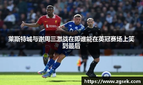 雷火电竞亚洲官网